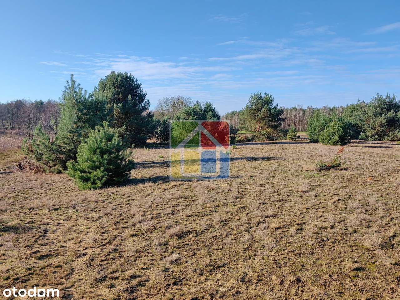 Duża działka z widokiem na jezioro-2