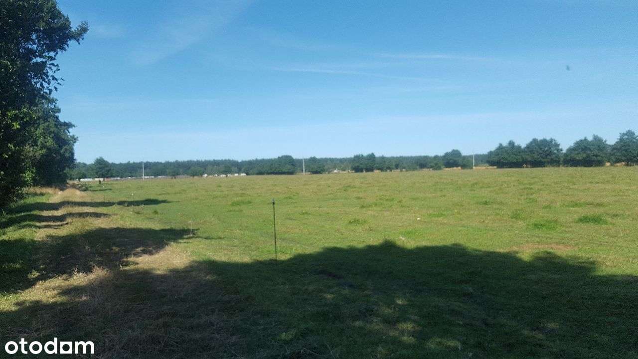 Działka Karwieńskie Błota Inwestycja pod Camping/Siedlisko przy plaży - Widok 3