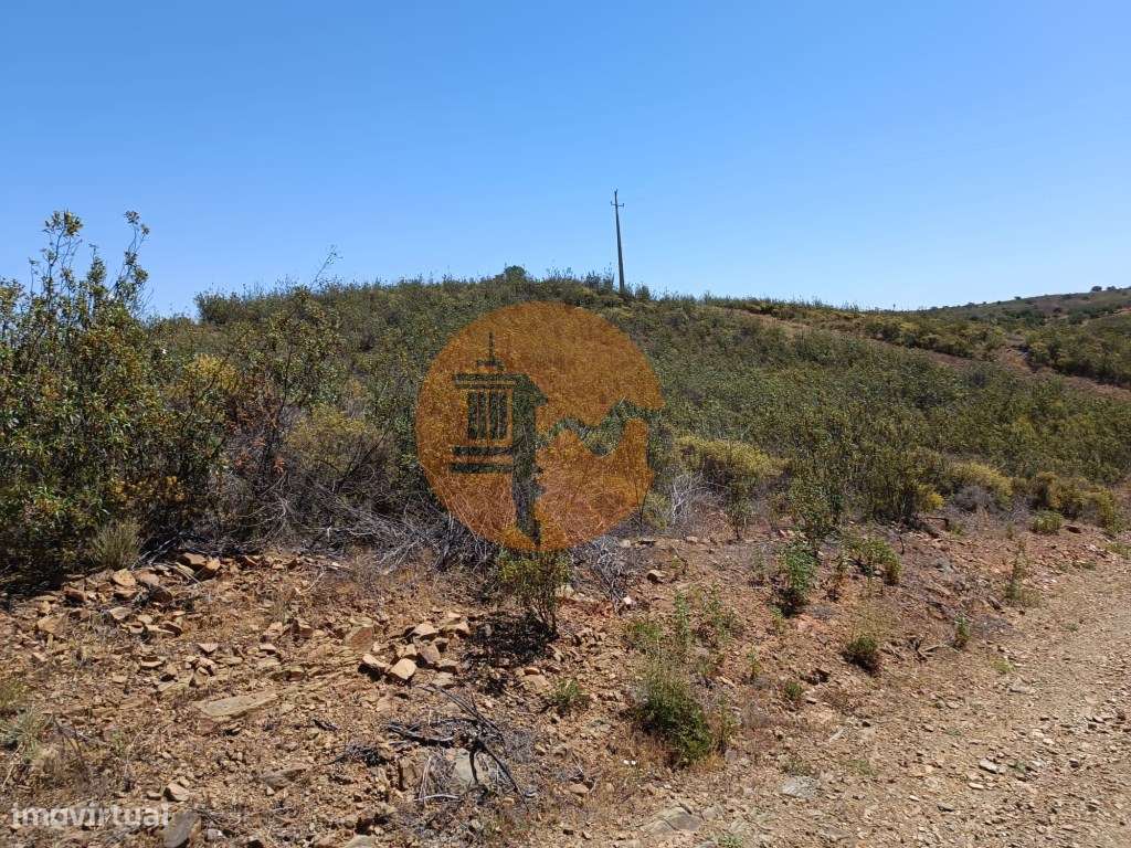 TERRENO COM 34.700 M2 - POSSIBILIDADES DE CONSTRUIR UM ARMAZEM - PR...-35