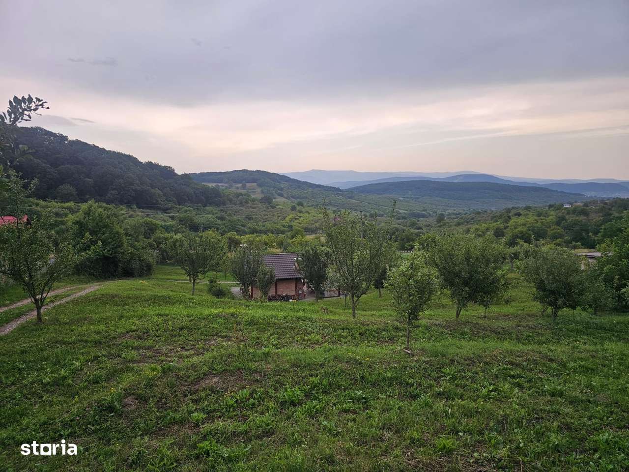 Teren 1.16 ha Valea Rusului – curent, 2 fântâni, căsuță + foișor-3