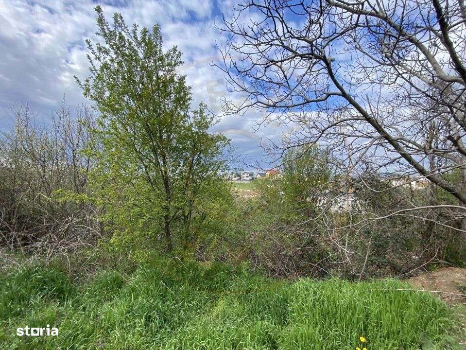 Teren intravilan 1.577 mp in Geamana, Bradu - Imagine principală: 4/7