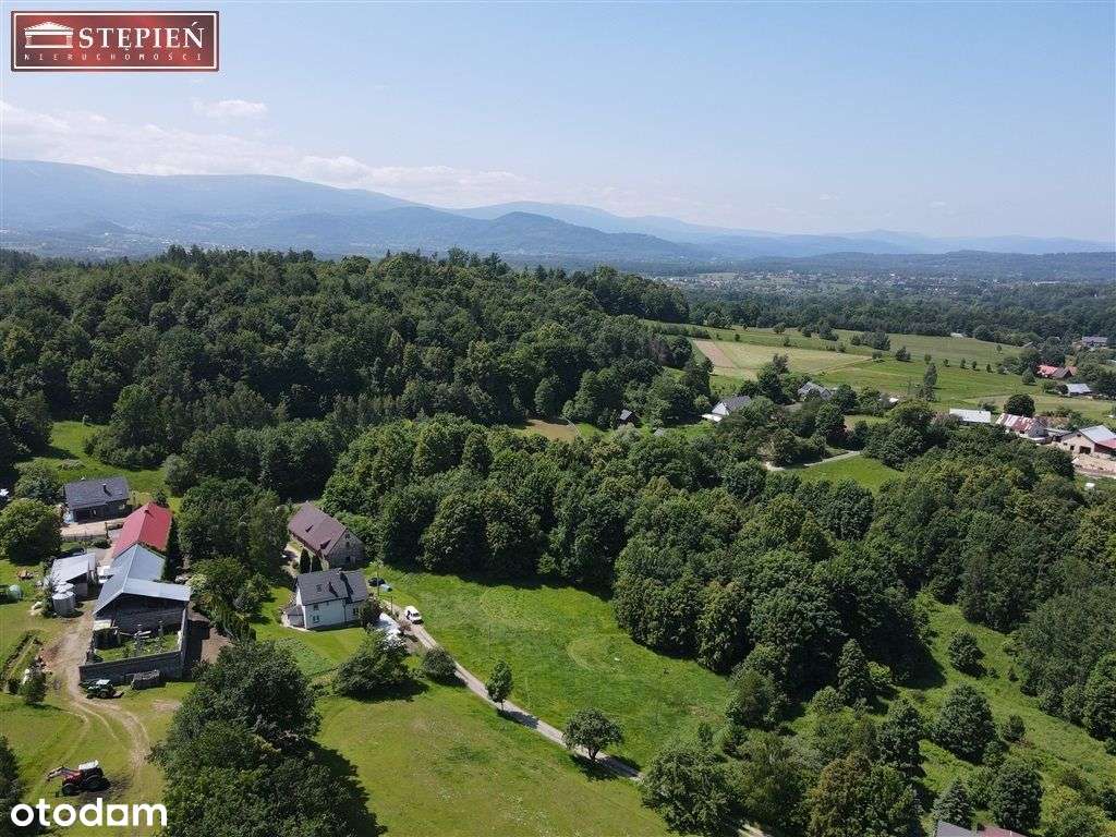 Działka budowlana 4585 m² – Bukowiec - Pełny obrazek: 5/8