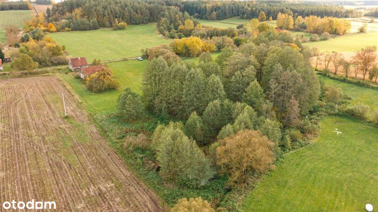 Siedlisko z duszą na skraju wsi – Rolki 20-3