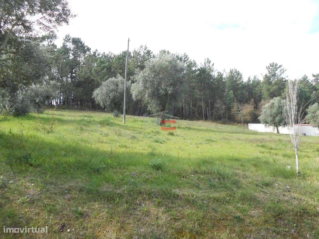 Terreno - Grande imagem: 2/9