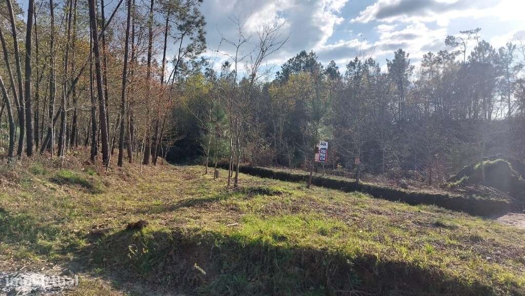 Lote Construção - Fiscal - Grande imagem: 4/8