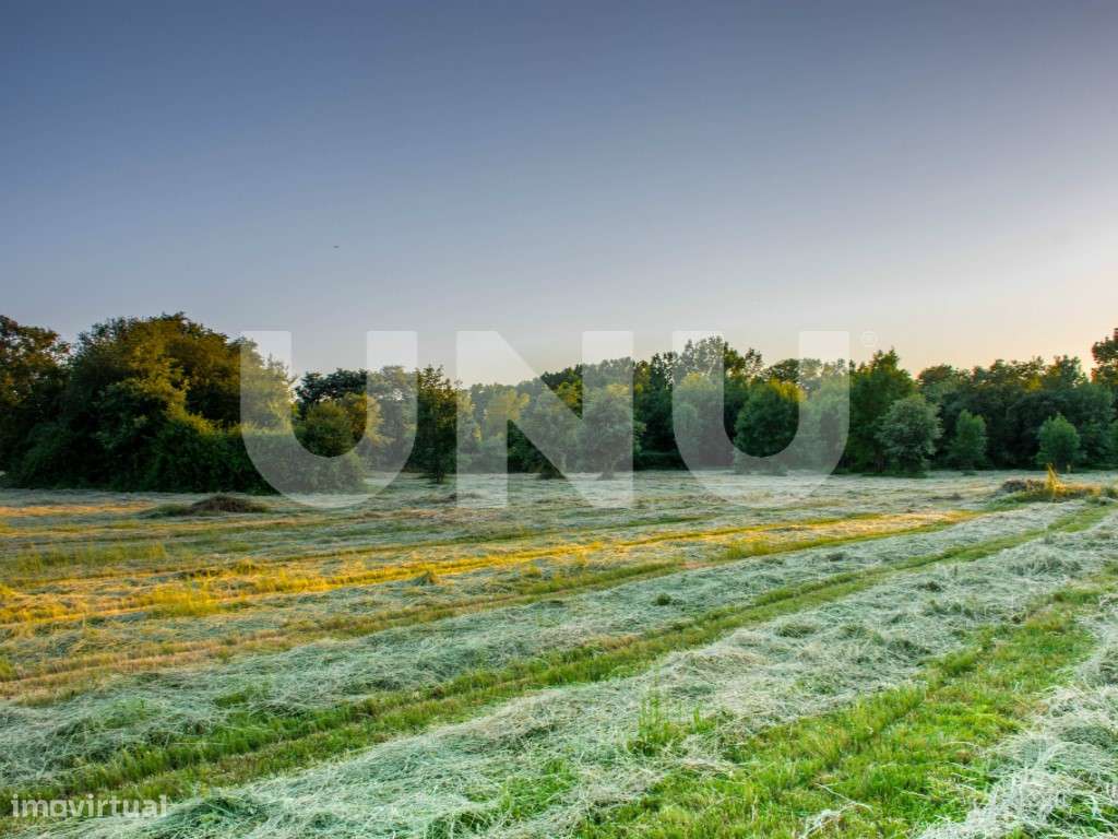 Terreno Rústico para venda nas Ínsuas, Fundão - Grande imagem: 4/7