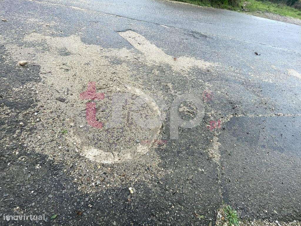 Terreno 22.600m2 Galegos S. Martinho-5