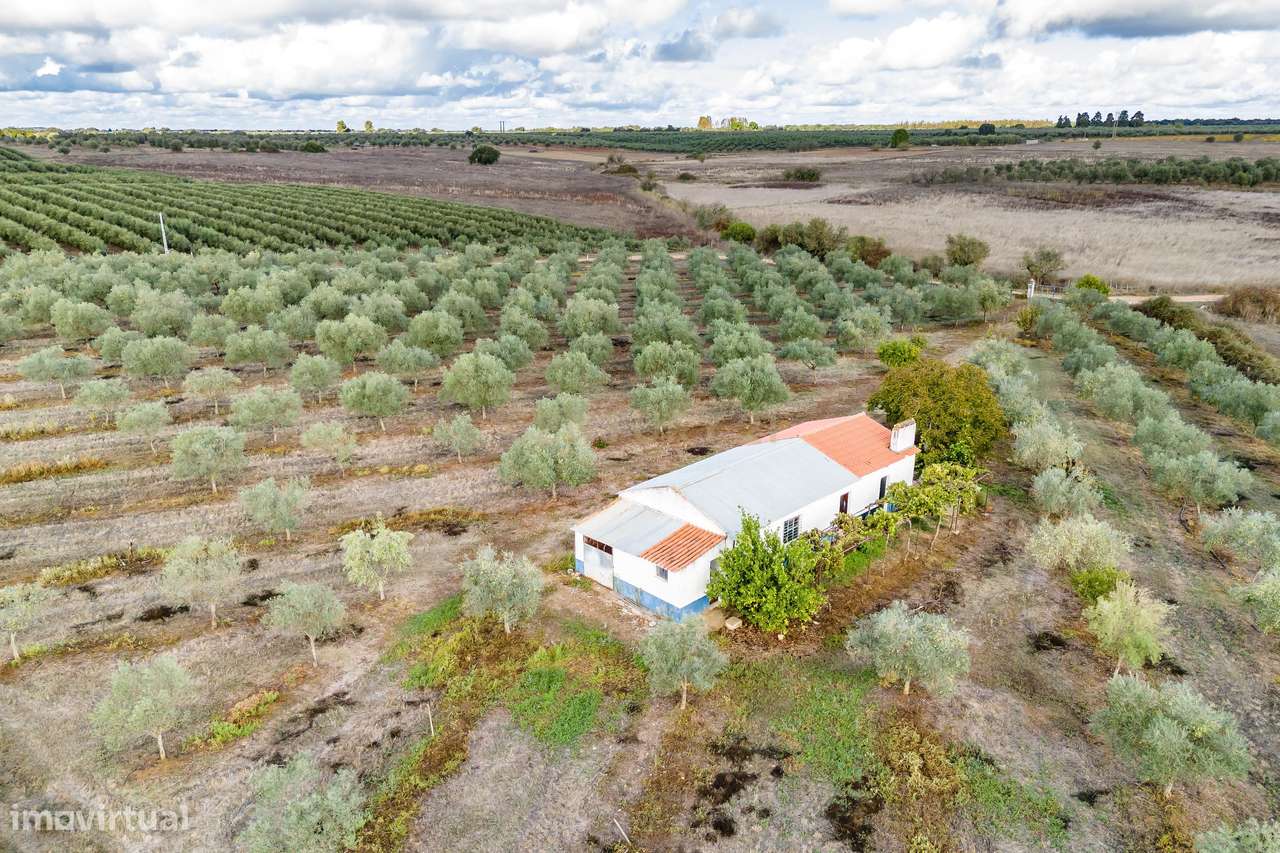 Encantadora Casa Branca em Sousel - 2 Quartos e 1 Casa de Banho - Grande imagem: 4/60