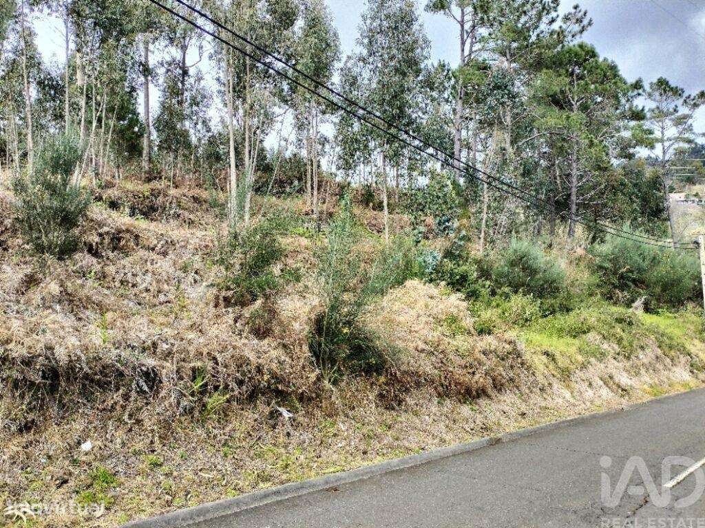 Terreno em Canhas de 4430,00 m2 - Grande imagem: 5/23