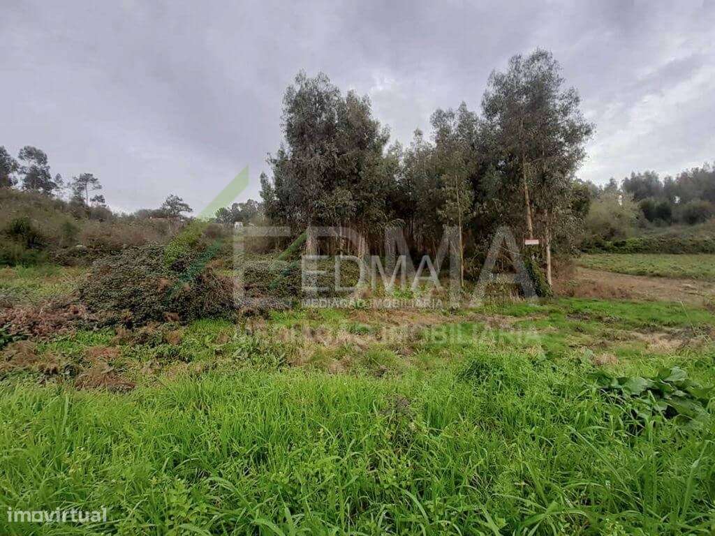 Terreno com ruína, Requião - Grande imagem: 2/3