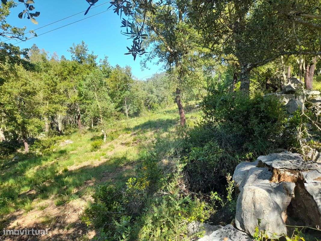 Terreno  para venda - Grande imagem: 5/10