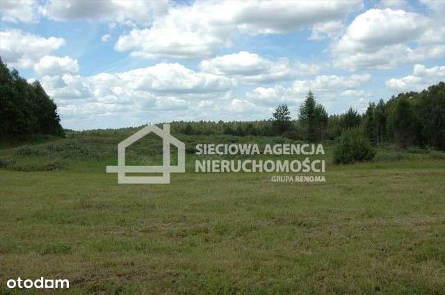 działka siedliskowa Bukowina - Pełny obrazek: 4/14