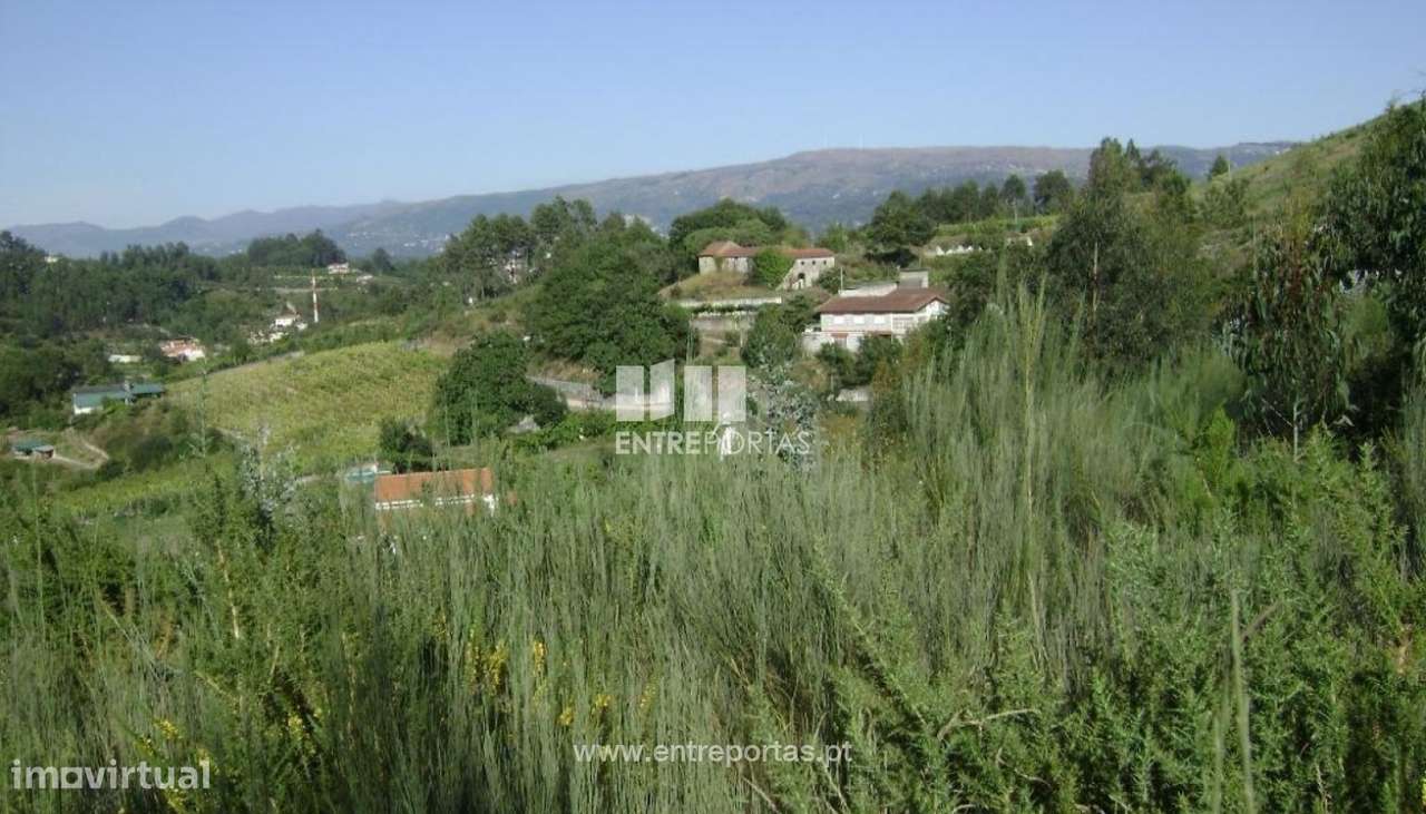 Venda Terreno, Constance, Marco de Canaveses - Grande imagem: 4/5