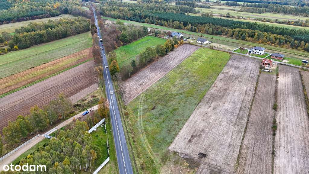 Truskolasy | Działka na sprzedaż - Pełny obrazek: 4/8