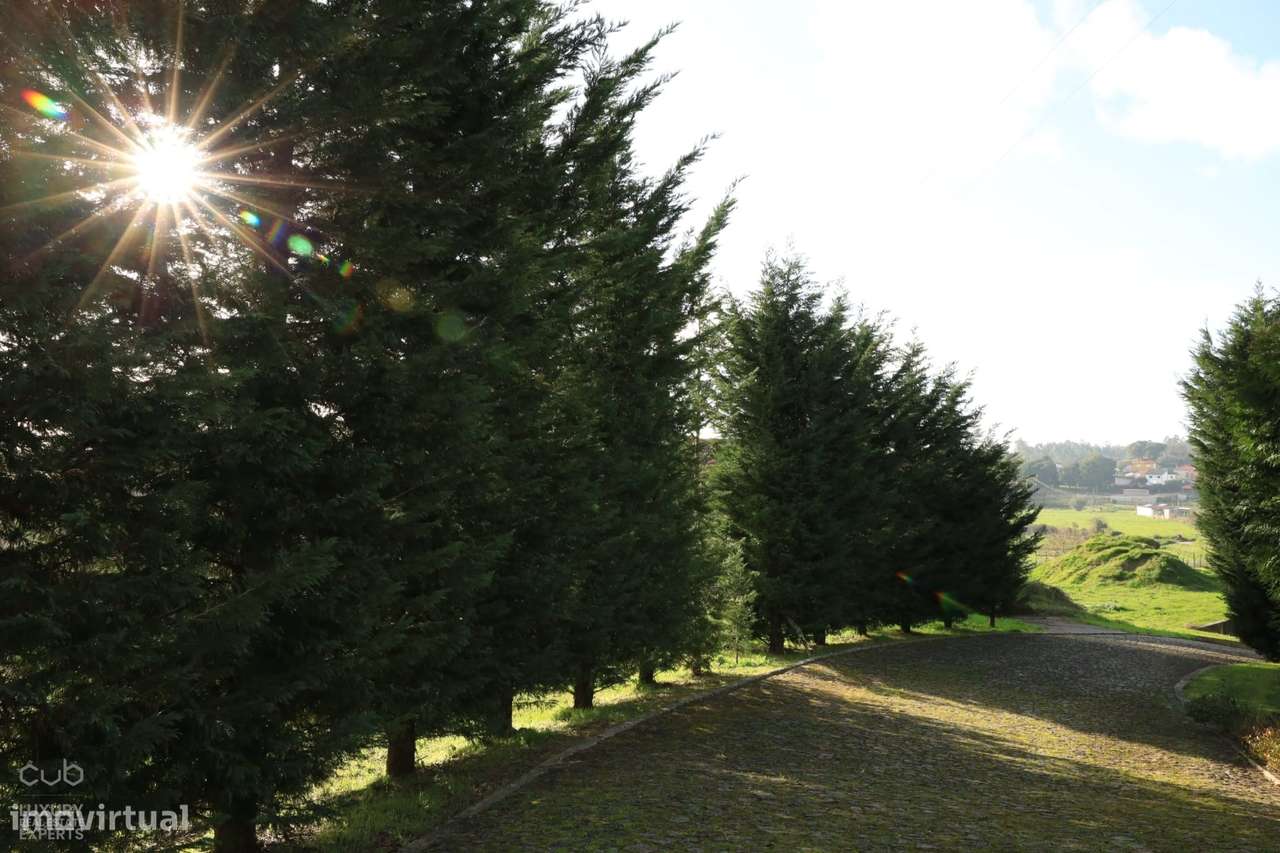 Quinta dos Moinhos - T4 de 7.100 m² de terreno em Penafiel para VENDA - Grande imagem: 4/51
