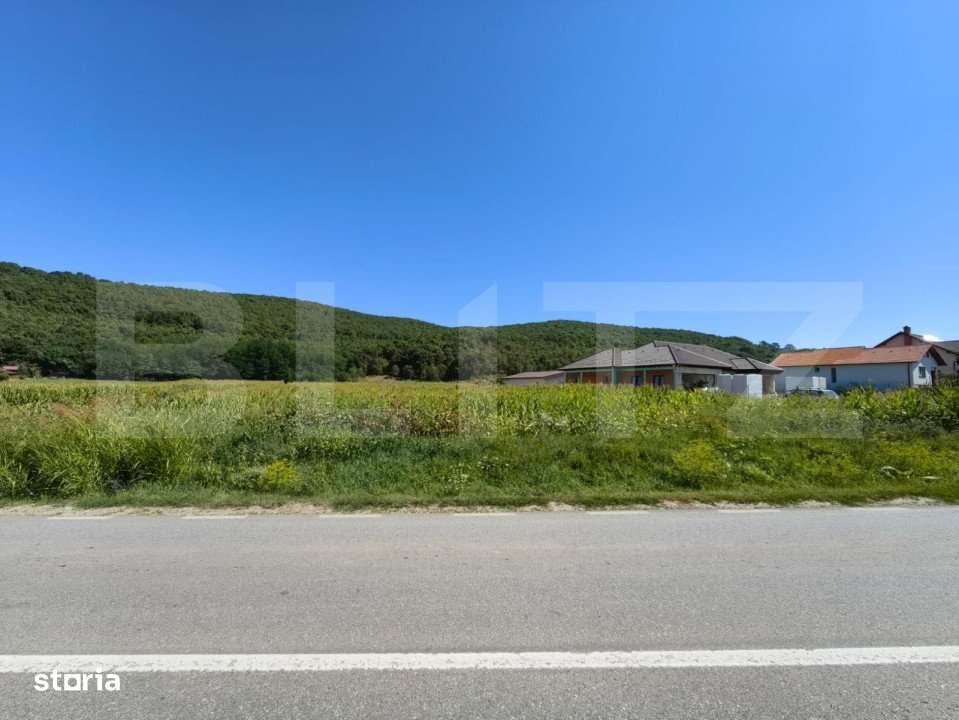 Teren intravilan, 4900 mp, zona Hapria - Ciugud - Imagine principală: 5/6