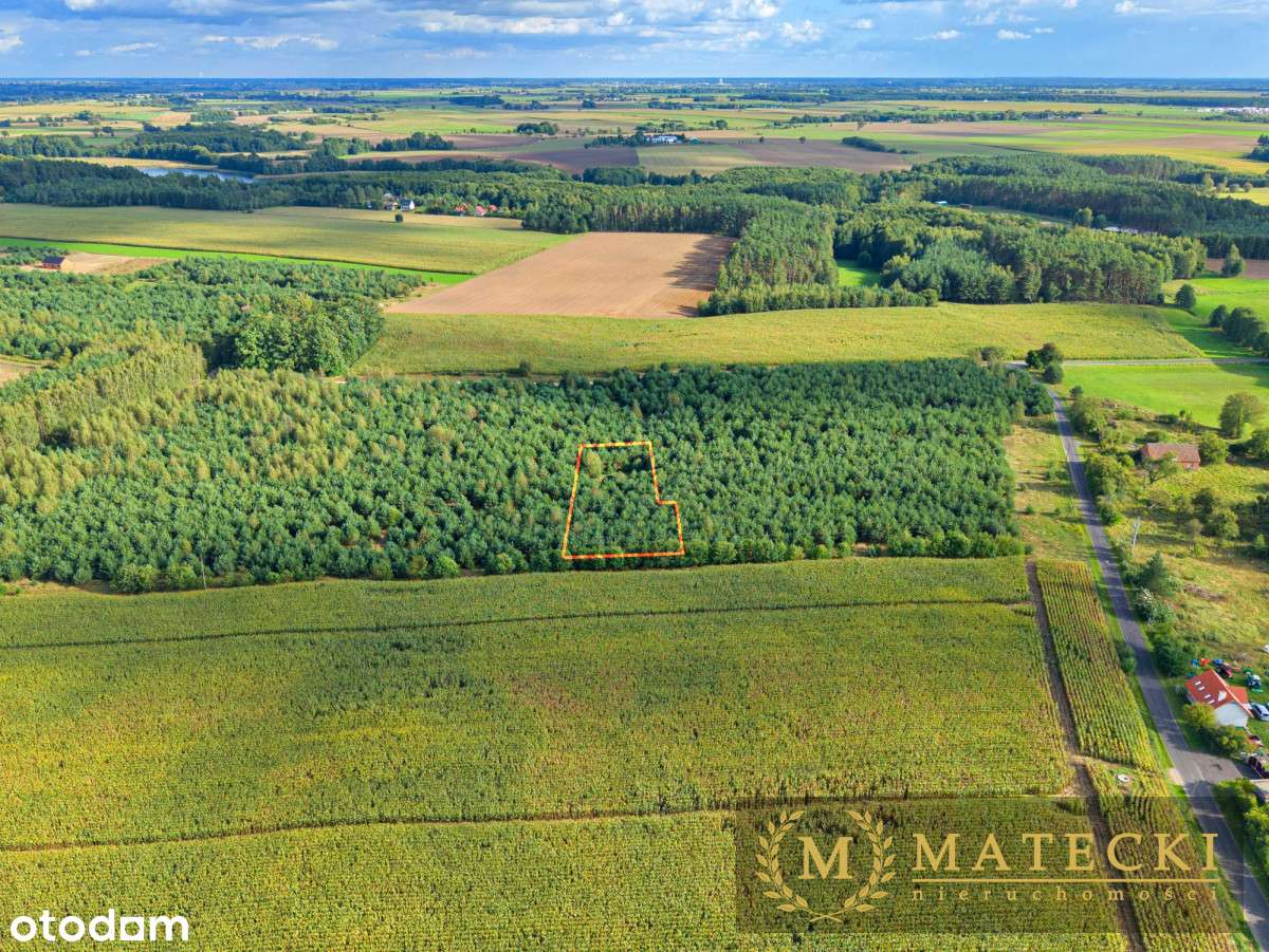 Wyjątkowa, duża działka z drzewami-15