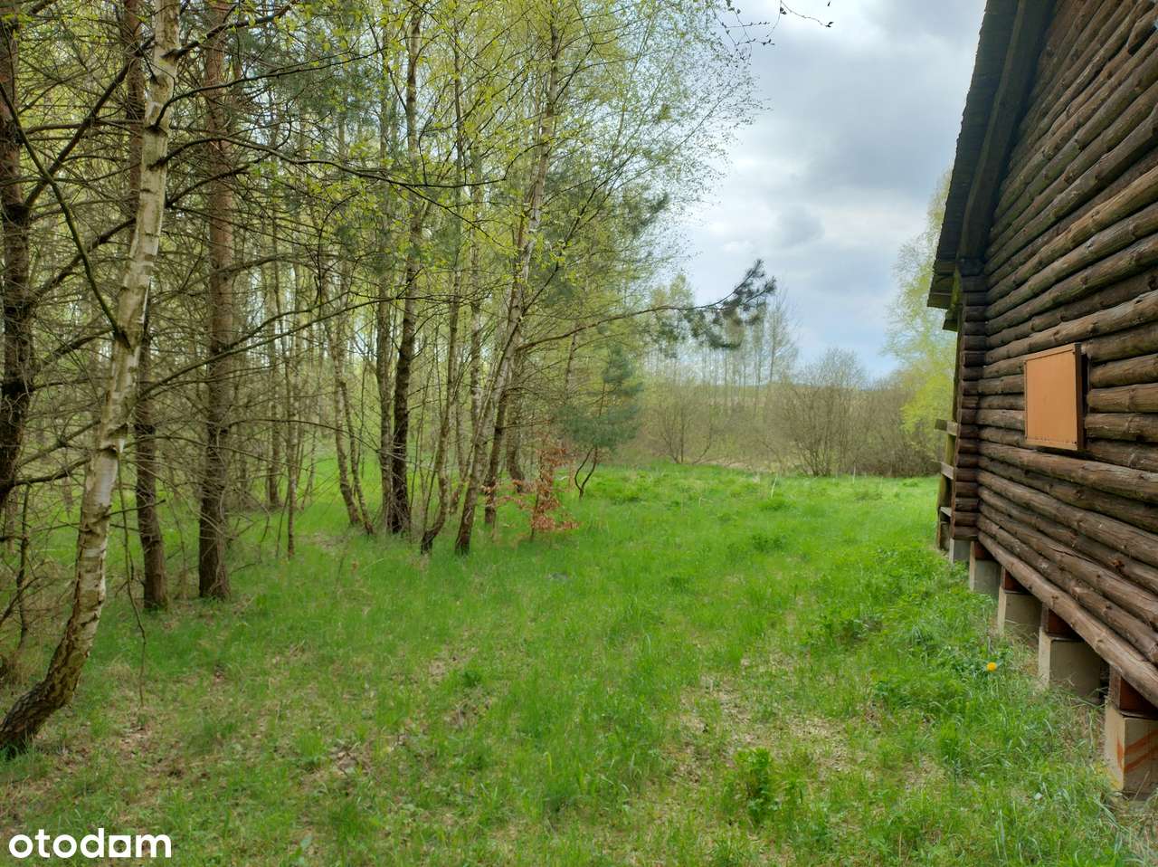 Urokliwa działka z domkiem na Kaszubach las staw cisza tylko 29 zł/m2! - Pełny obrazek: 2/5