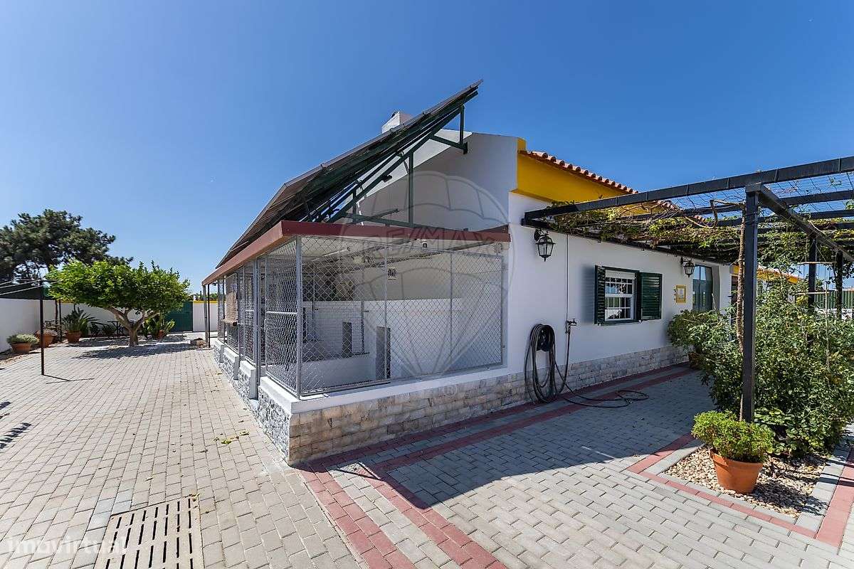 Quinta  para venda-6