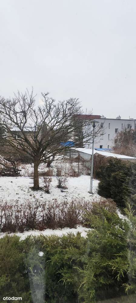 Mieszkanie 48m2 parter cegła parking Toruń Antczaka-15