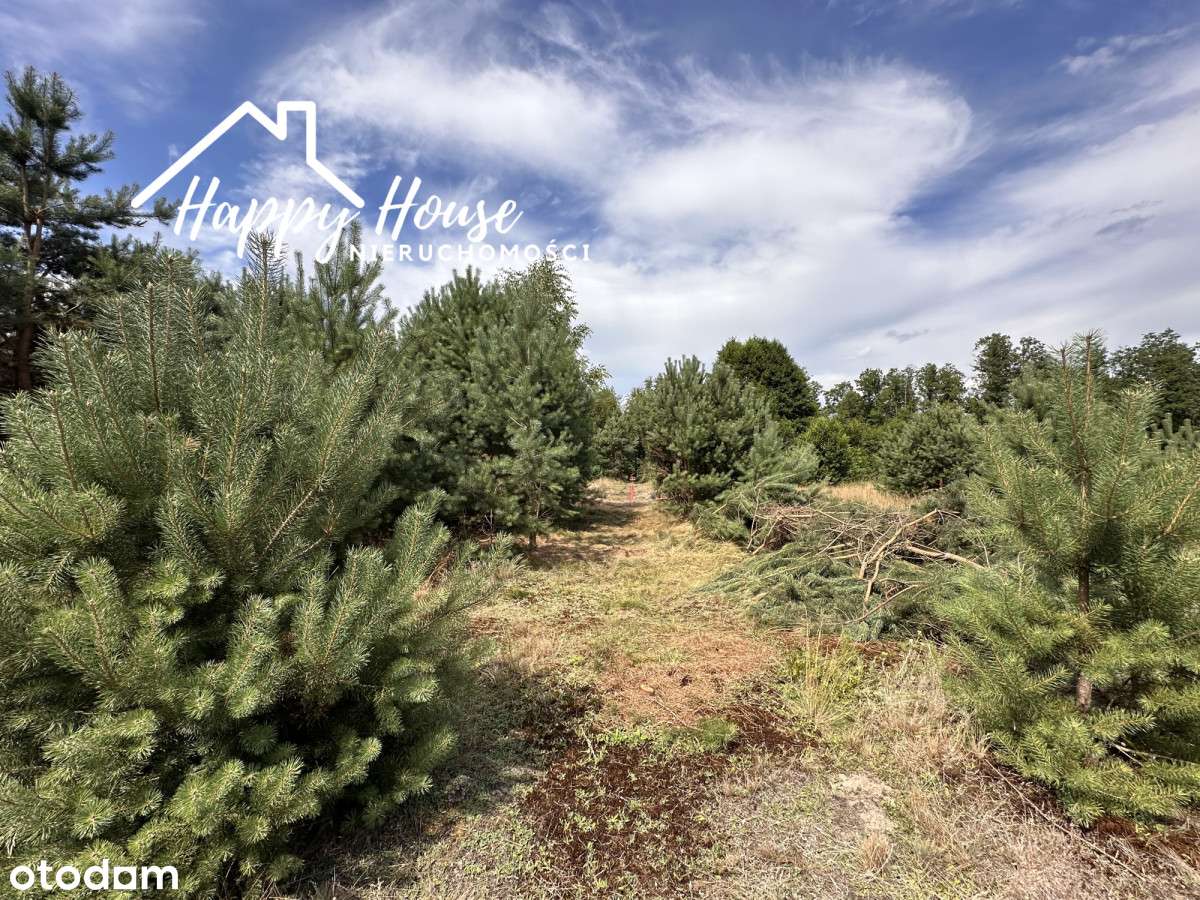 Działka nad rzeką Brdą-WZ na płaski dach-10