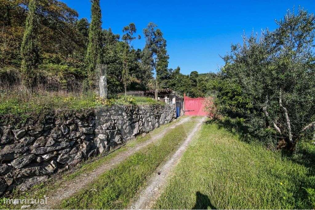 Moradia T3 em quinta c/8960m2, vários anexos e vistas deslumbrantes so - Grande imagem: 5/57