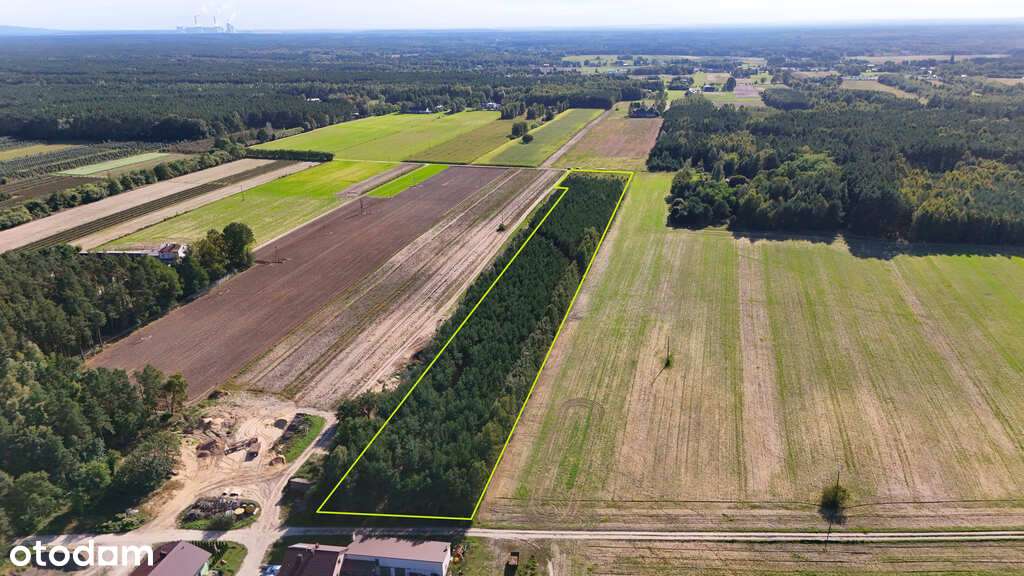 Działka siedliskowa z lasem 1,74 ha ! - Pełny obrazek: 4/6