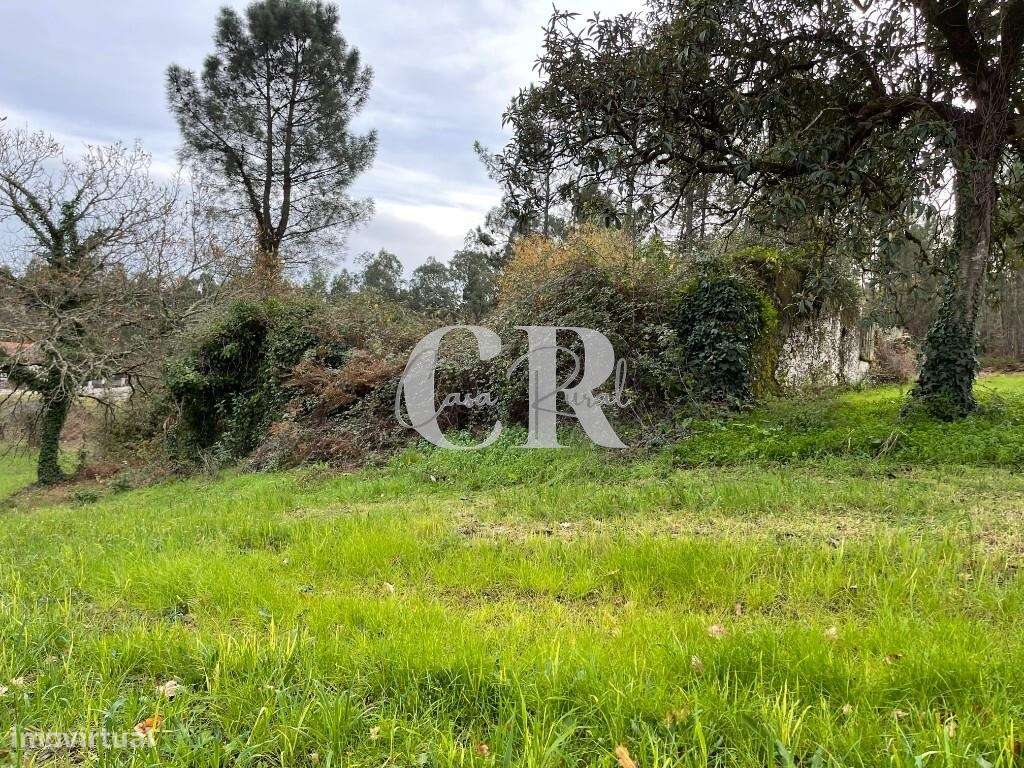 Terreno co  ruinas-7