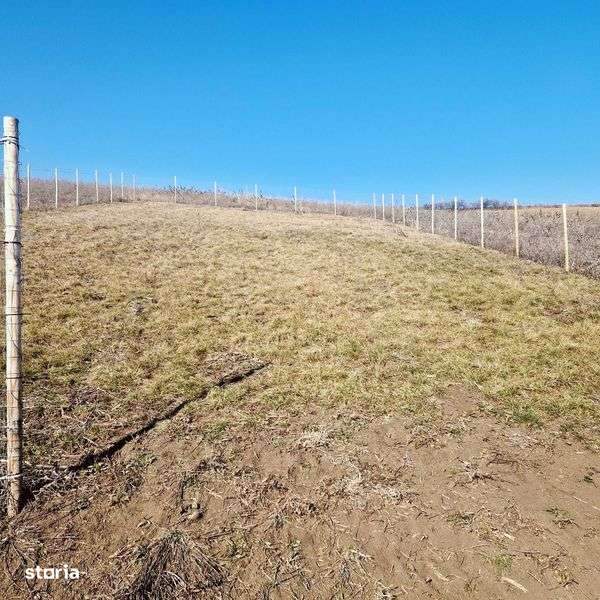 Teren intravilan Sura Mare 504mp - Imagine principală: 4/8