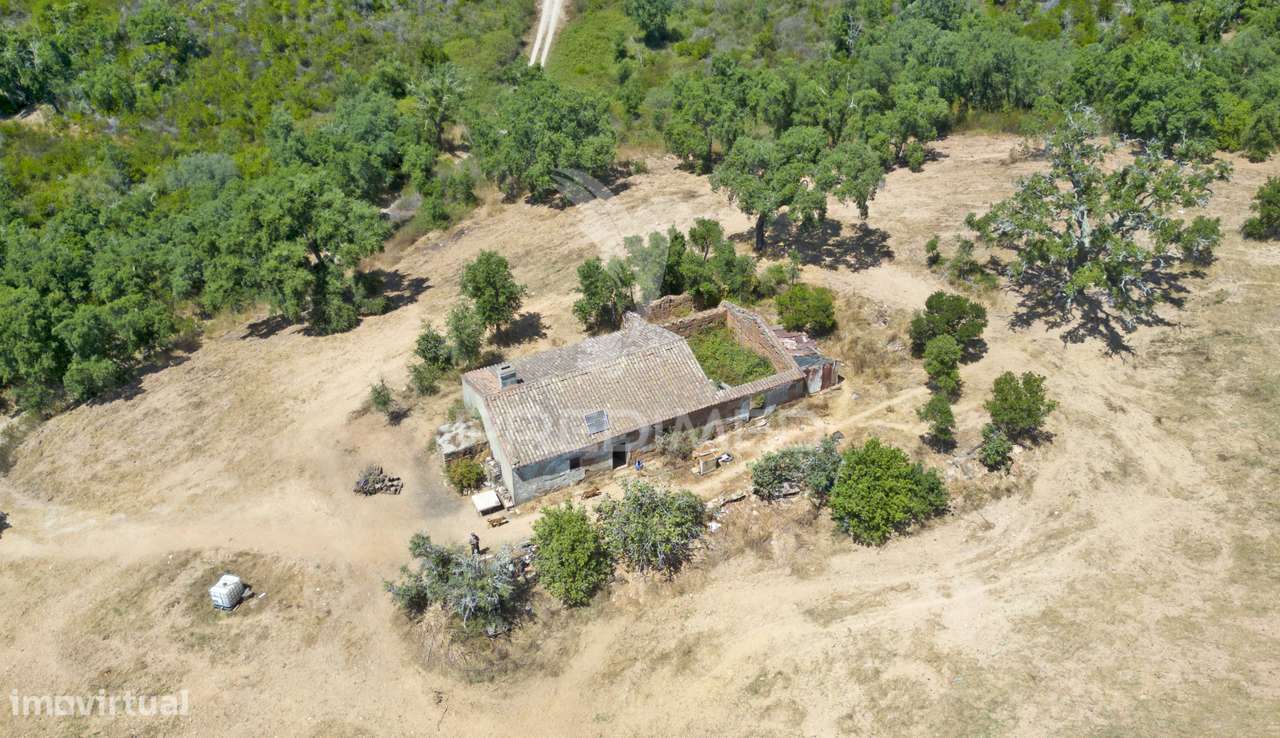 Herdade com 73,700 hectares e uma ruína registada com 126 m2. - Grande imagem: 4/20