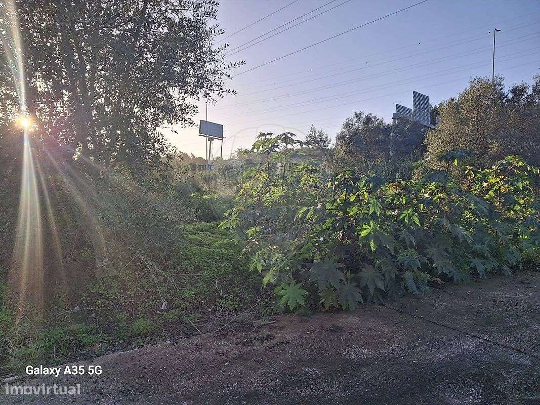 Terreno  para venda - Grande imagem: 4/12