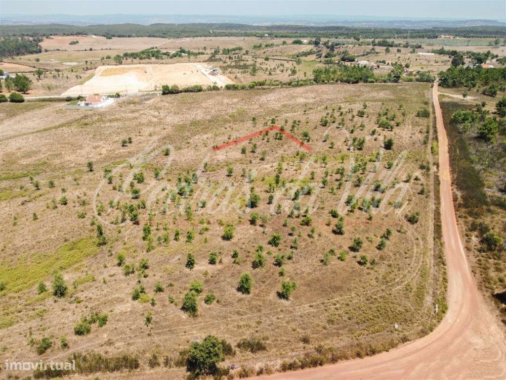 Quinta de 25ha com projeto aprovado - São Teotónio - Odemira-19