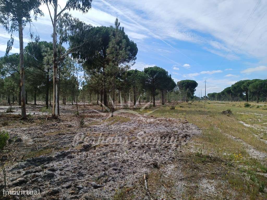 Herdade Bicas - Comporta - Grande imagem: 3/25