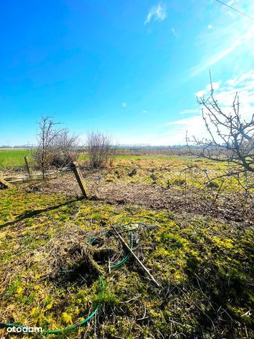 Działka budowlano-rolna 20min od Gdańska