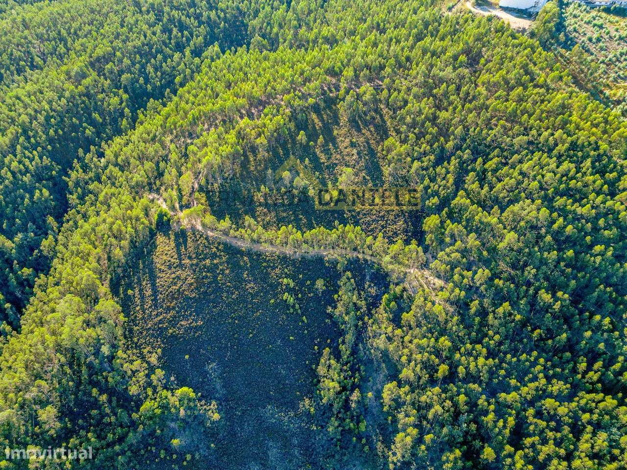 Terreno Rústico de 19.501m2 na Lomba em Gondomar - Grande imagem: 2/17