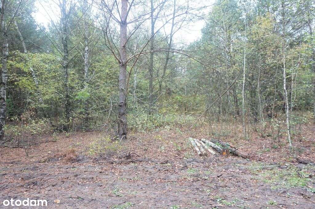 działka w otulinie Kpn-4