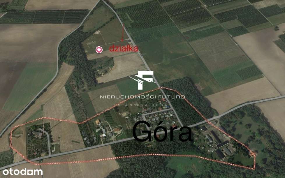 Ładna działka blisko lasu z Planem Góra/Śrem-7