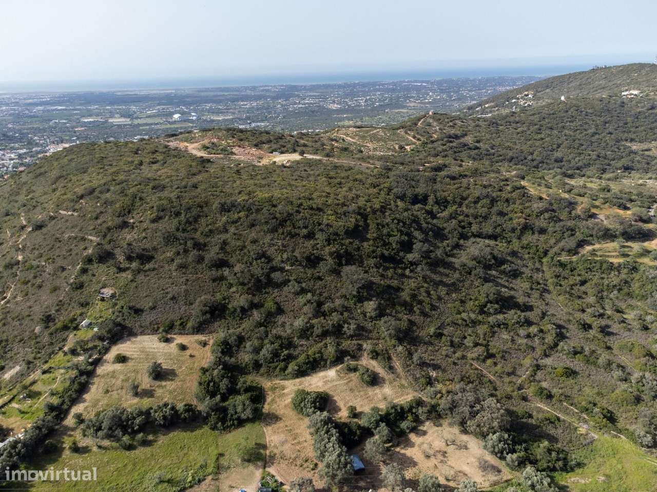 Terreno Rústico, Gorjões, Santa Bárbara de Nexe - Grande imagem: 3/10