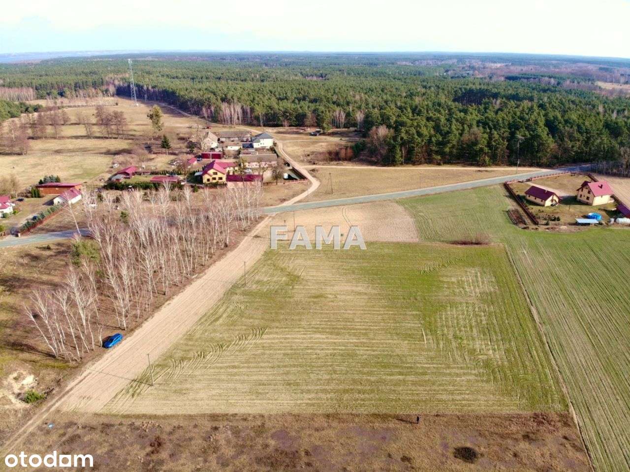 7835 m2, Kosinowo, Włocławek, blisko las, asfalt - Pełny obrazek: 4/5