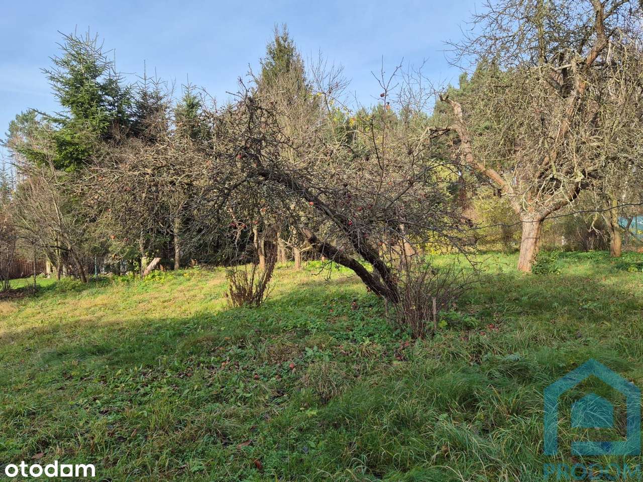 Urokliwy domek poniemiecki – Nowe Czaple, blisko granicy z Niemcami-3