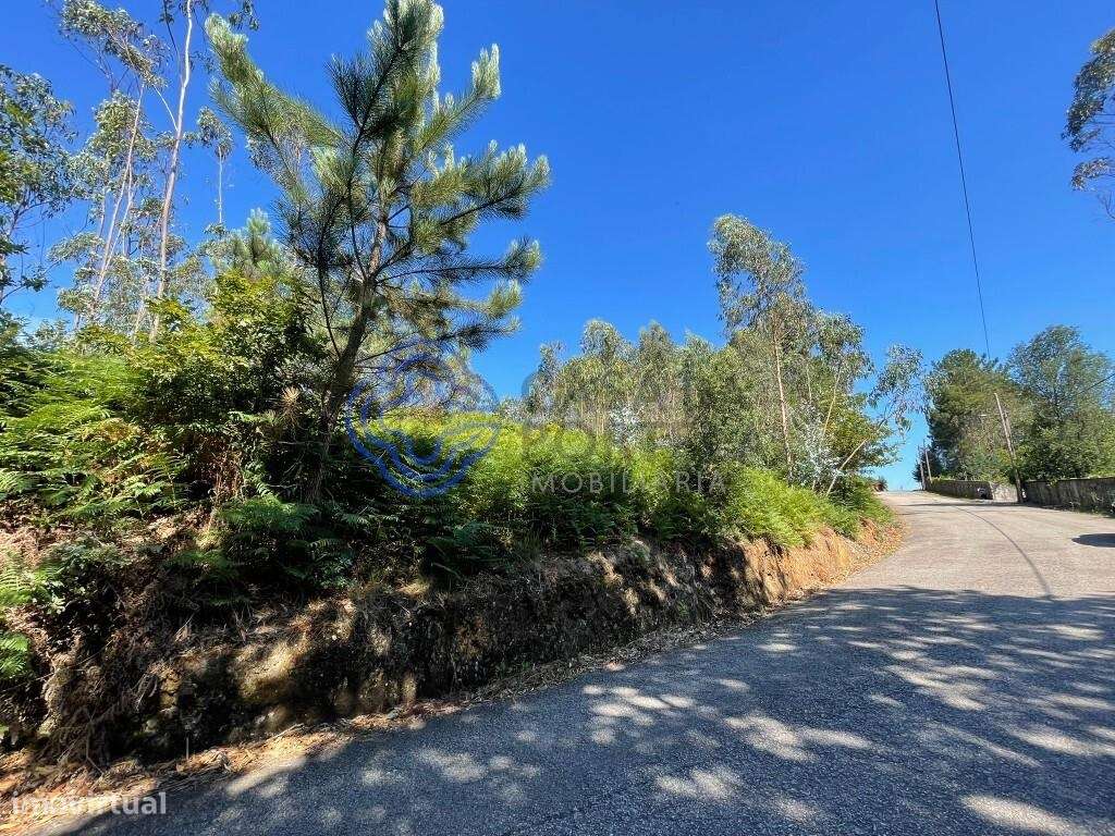 Terreno Rústico em Travanca Santa maria da Feira - Grande imagem: 5/15