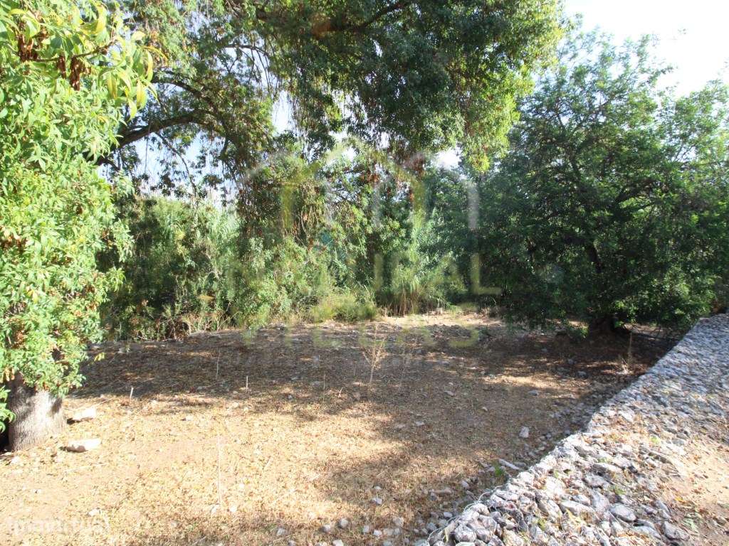 Terreno Rústico com Vista Panorâmica em Estoi - Grande imagem: 3/7