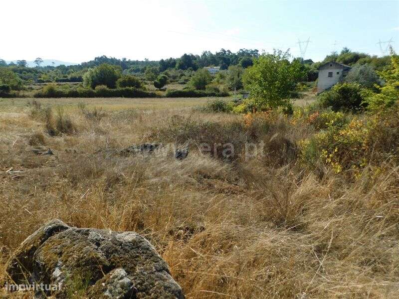 Quinta / Gouveia, Vila Nova de Tazem - Grande imagem: 4/20