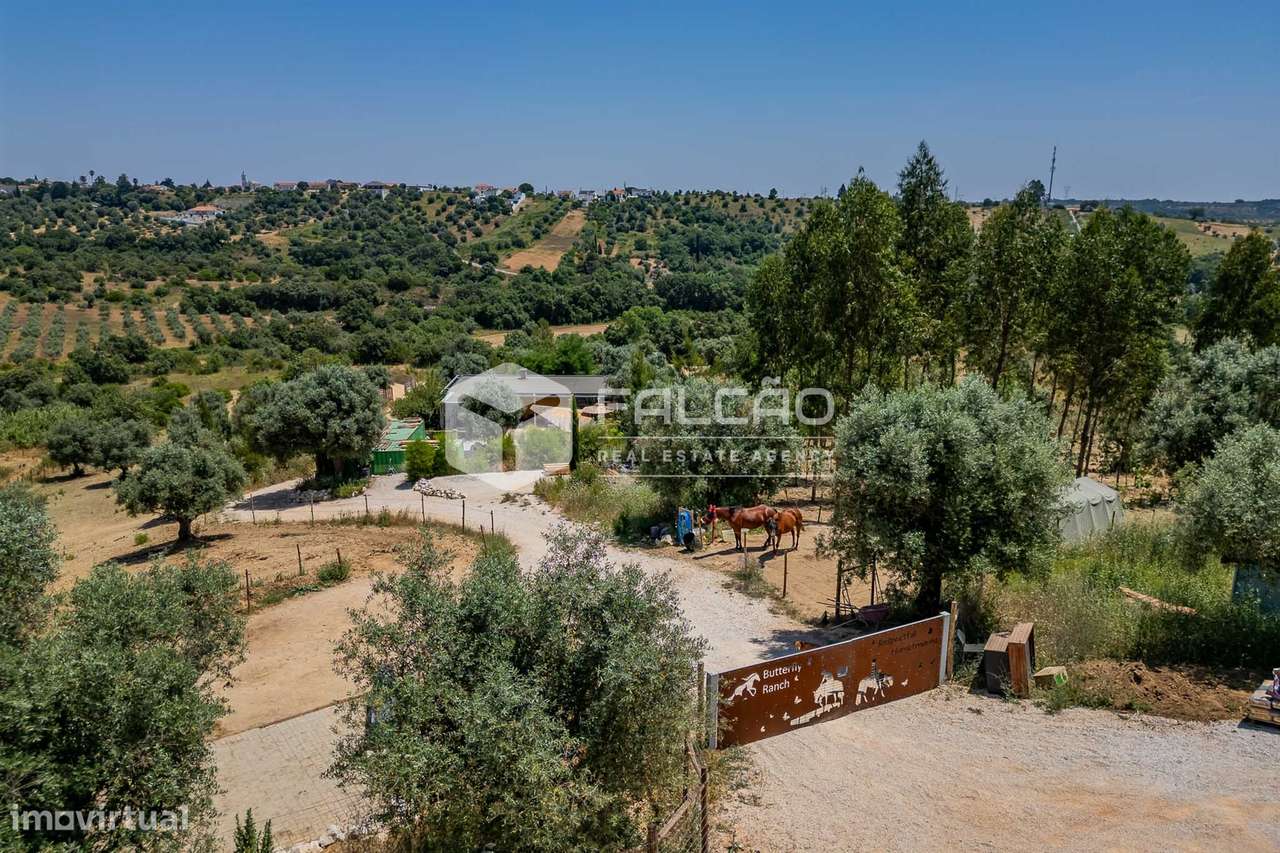 Quinta T2+2 Venda em Brogueira, Parceiros de Igreja e Alcorochel,Torre - Grande imagem: 1/50