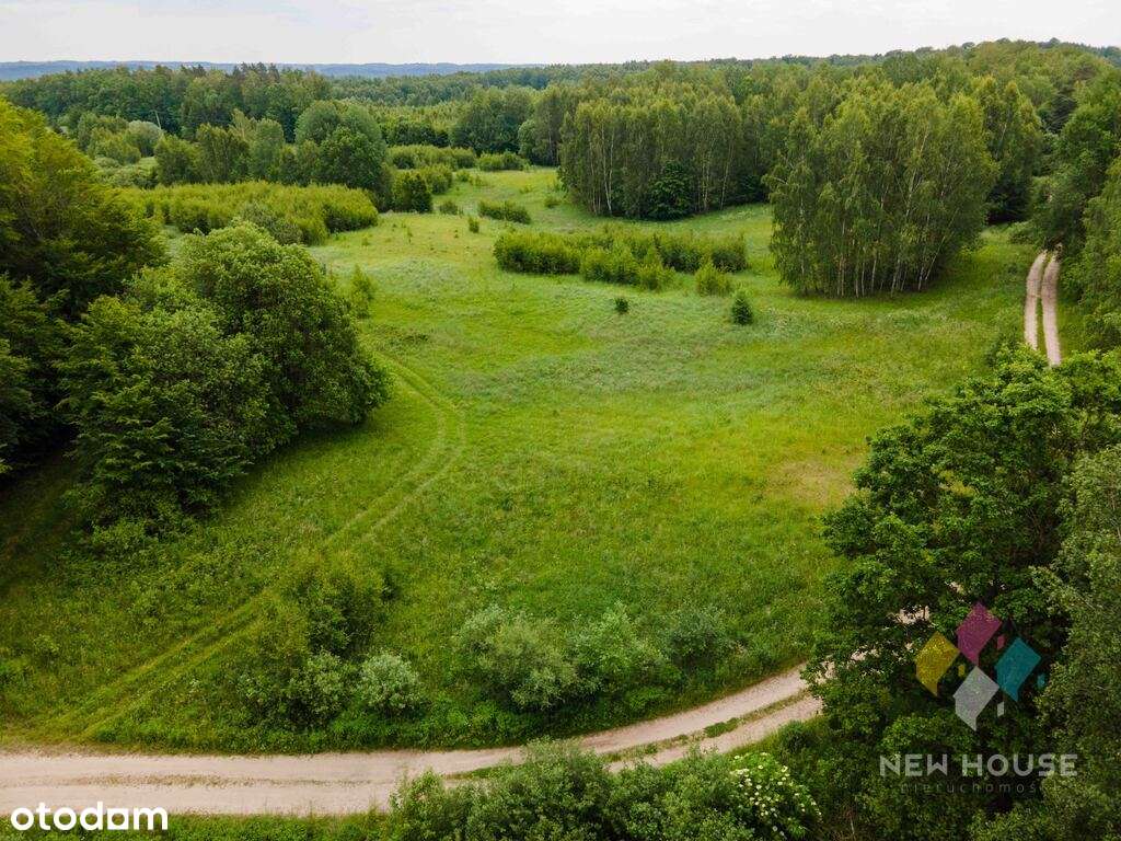Działka w enklawie śródleśnej, możliwość zabudowy - Pełny obrazek: 5/6