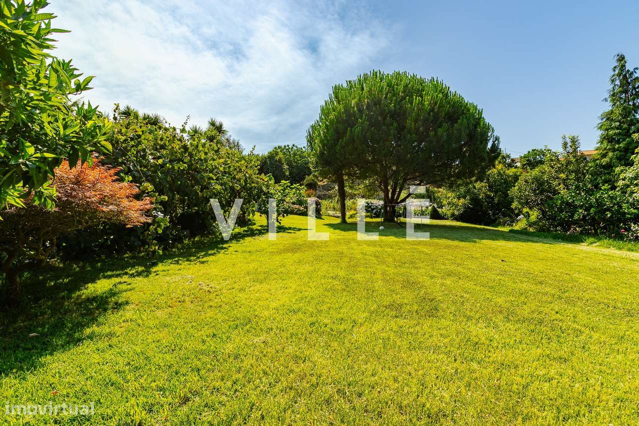 Moradia Térrea com Cave e Terreno – Fermelã, Estarreja-53