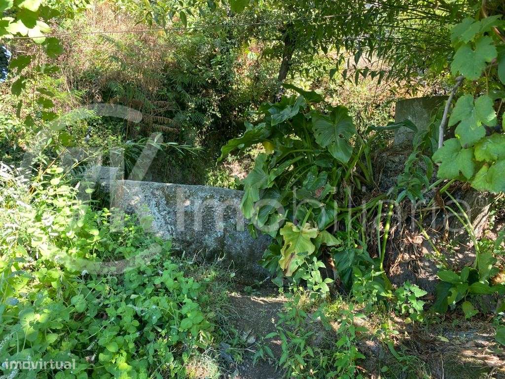 Terreno em Aliviada-5