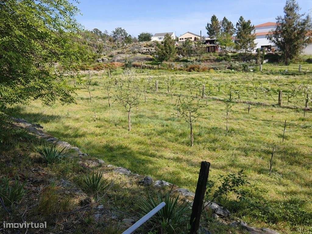 ATIVO TURÍSTICO + QUINTA DE EXCEÇÃO NA BEIRA ALTA-33
