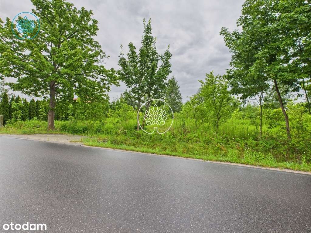 Głogowo działka budowlana 1503m2 - Pełny obrazek: 2/6