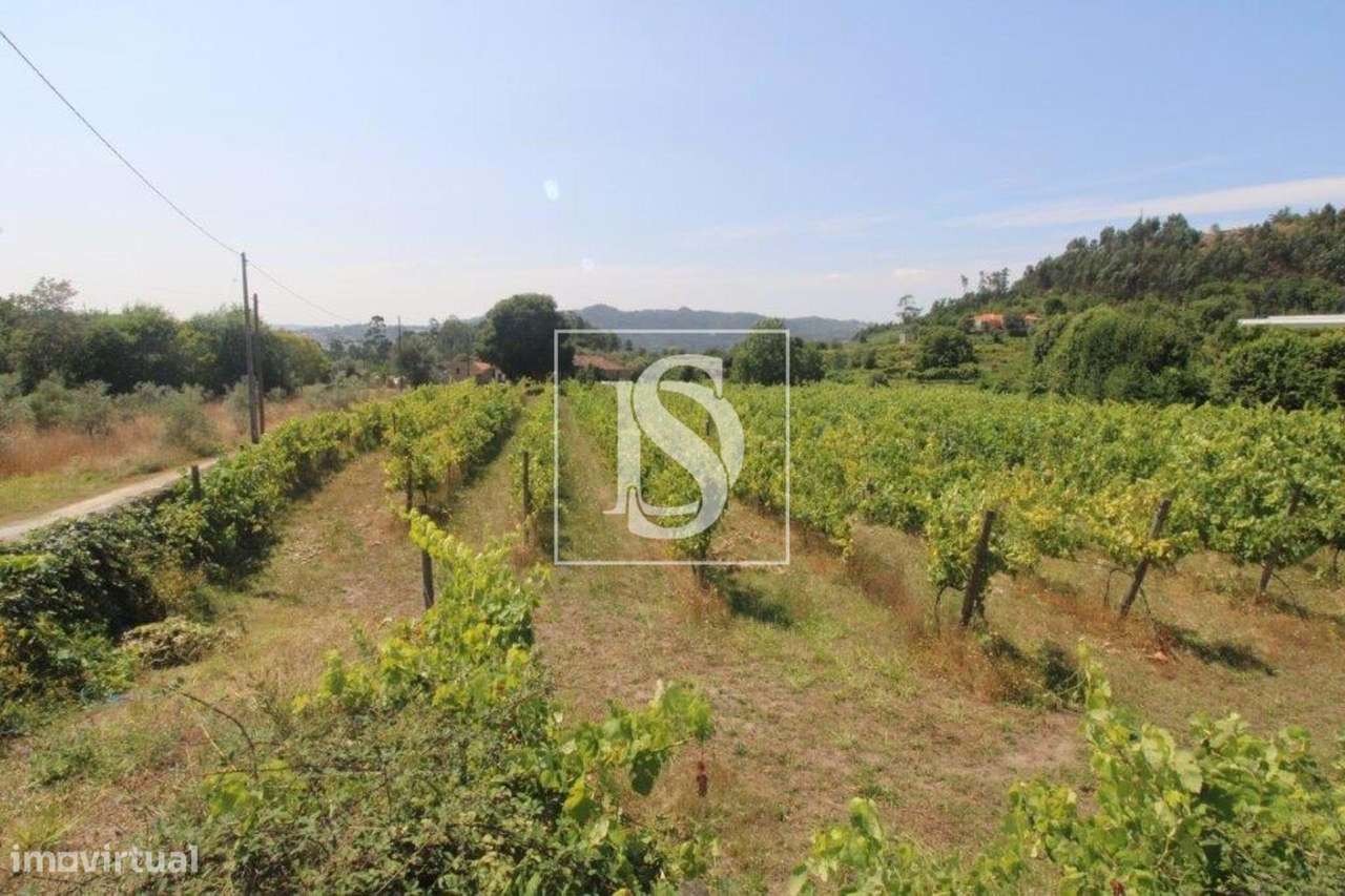 Terreno Não definido em Salvador do Monte - Grande imagem: 4/10